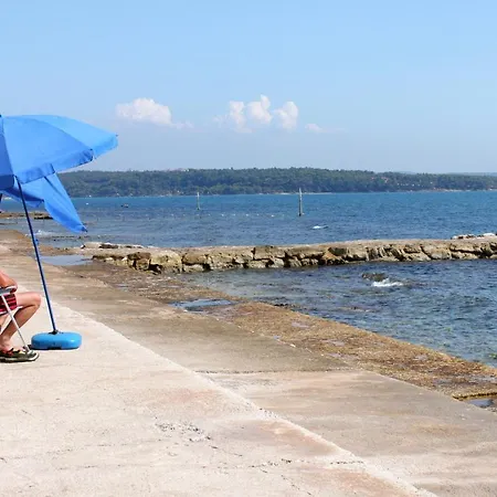 With A Parking Space Novigrad - 19678